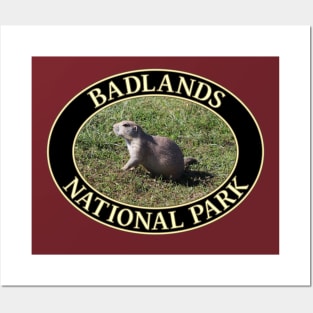 Prairie Dog at Badlands National Park in South Dakota Posters and Art